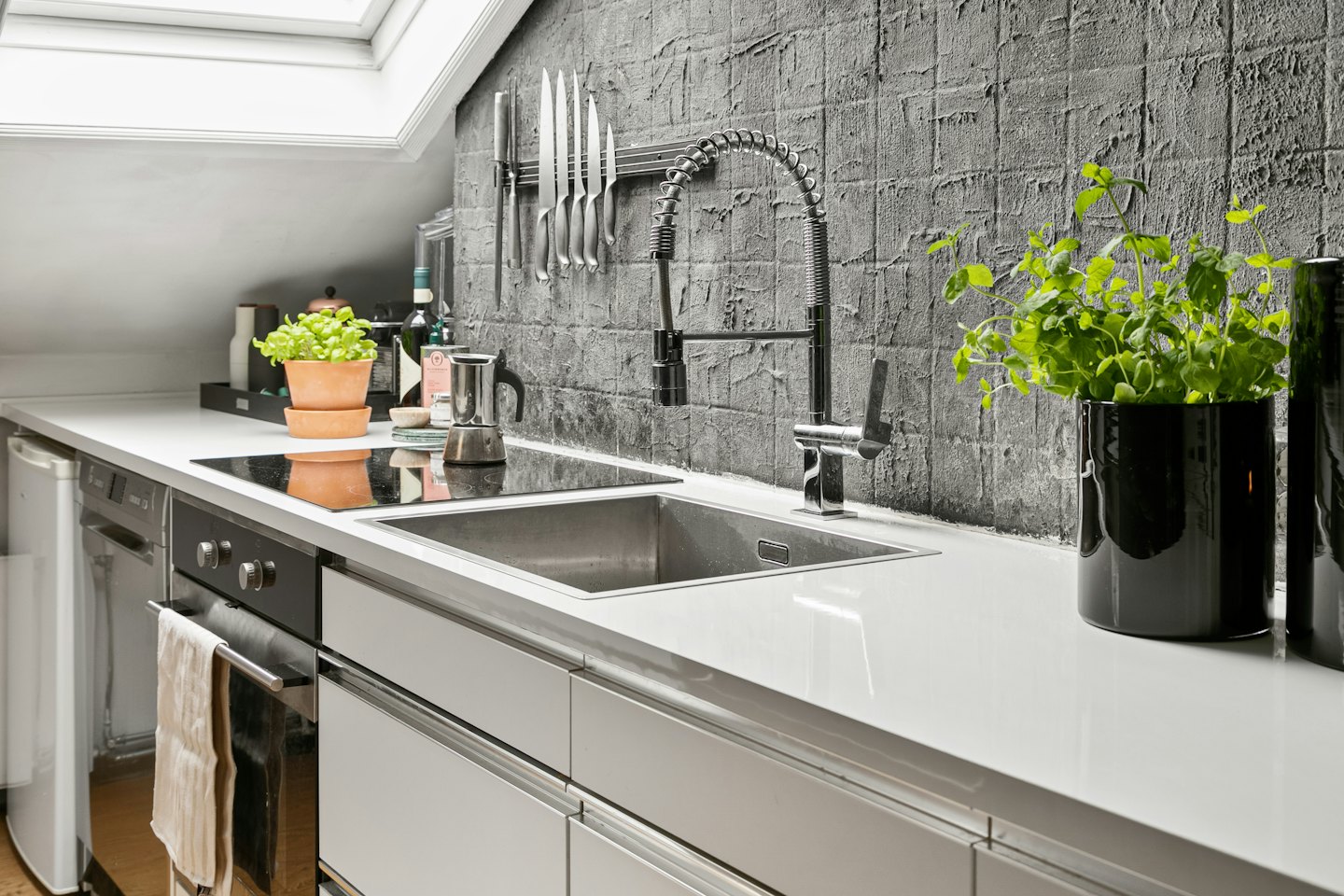 Modern kitchen with stainless steel appliances and countertop plants.